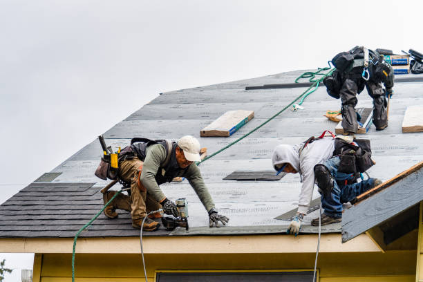 Professional Storm Damage Roof Repair technician working in Yanceyville, NC